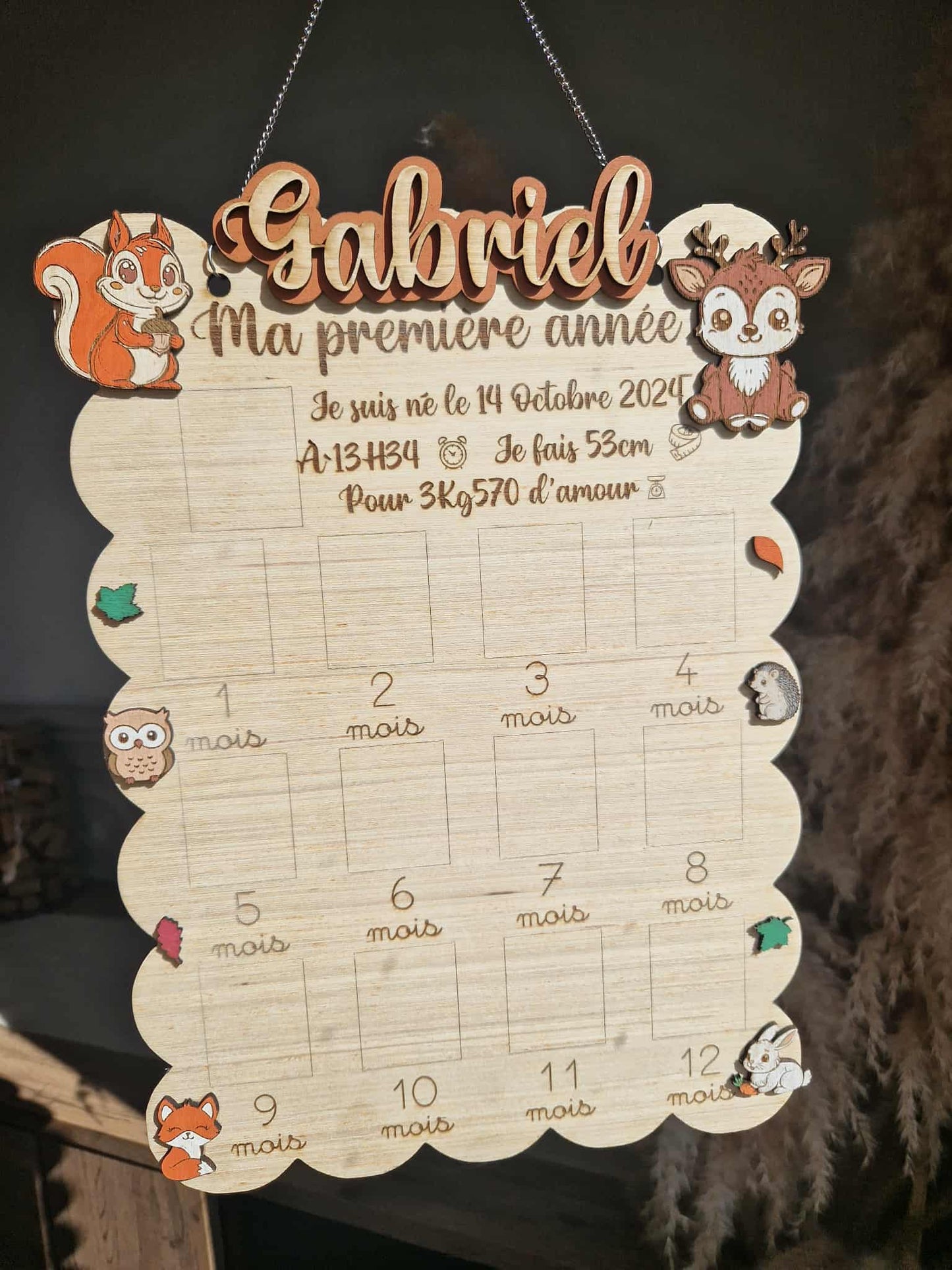 Panneau "Mes 12 premiers mois" personnalisé – Prénom, thème et texte de naissance